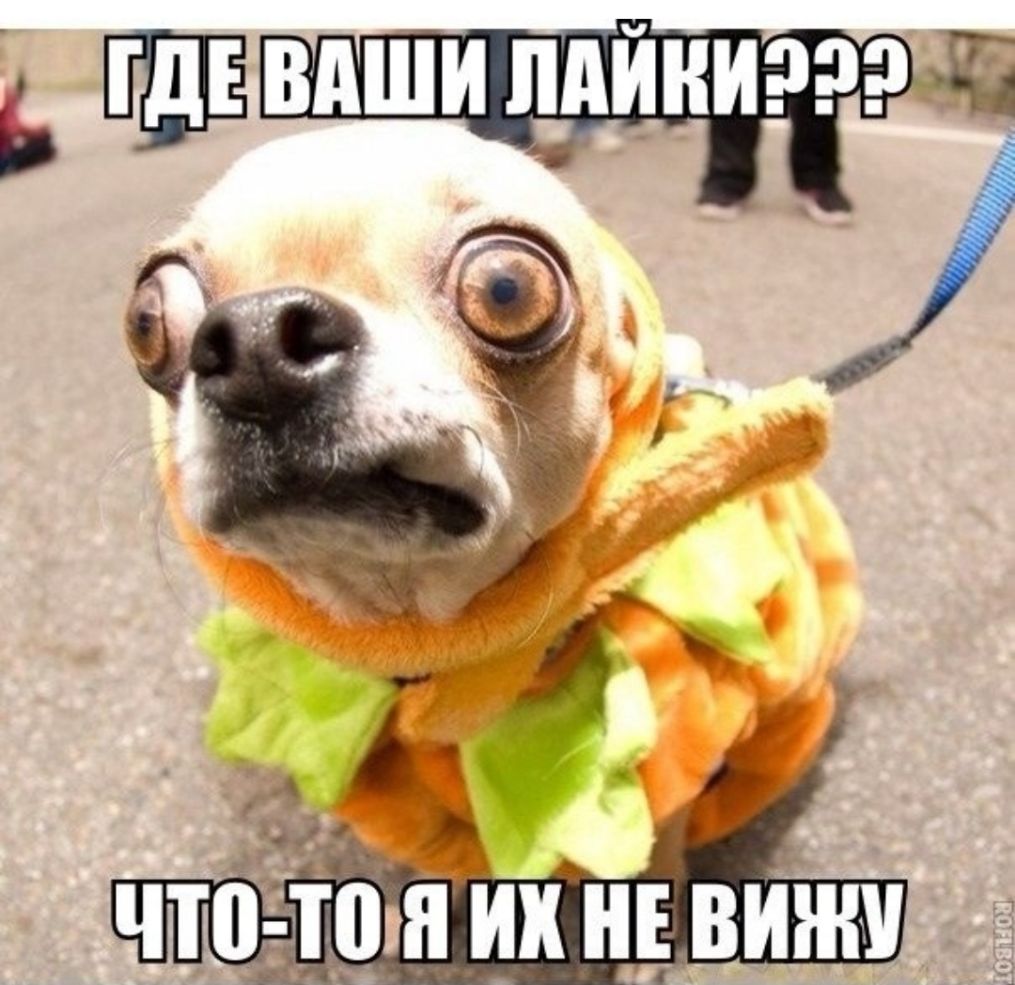 ЕЩЁ ВАШИ Л_АИНИ д