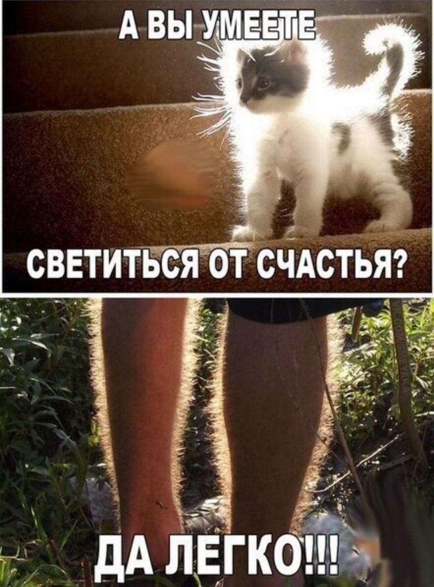 дА лЕгкотс