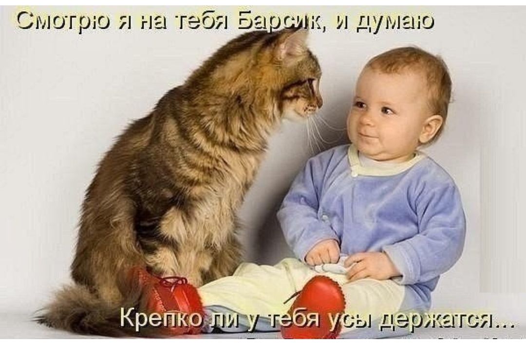 Смотрю