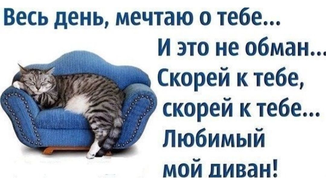 Весь день мечтаю о тебе И это не обман Скорей ктебе скорей к тебе Любимый мой диван