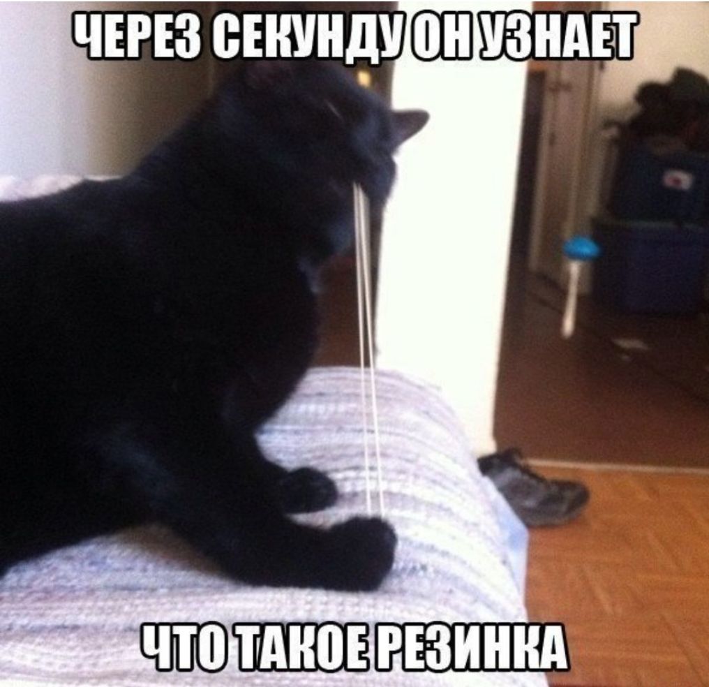 За секунду до пиздюлей