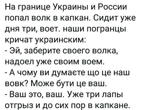На границе Украины и России попал волк в капкан Сидит уже дня три воет наши погранцы кричат украинским Эй заберите своего волка надоел уже своим воем А чому ви думаете що це наш вовк Може бути це ваш Ваш это ваш Уже три лапы отгрыз и до сих пор в капкане