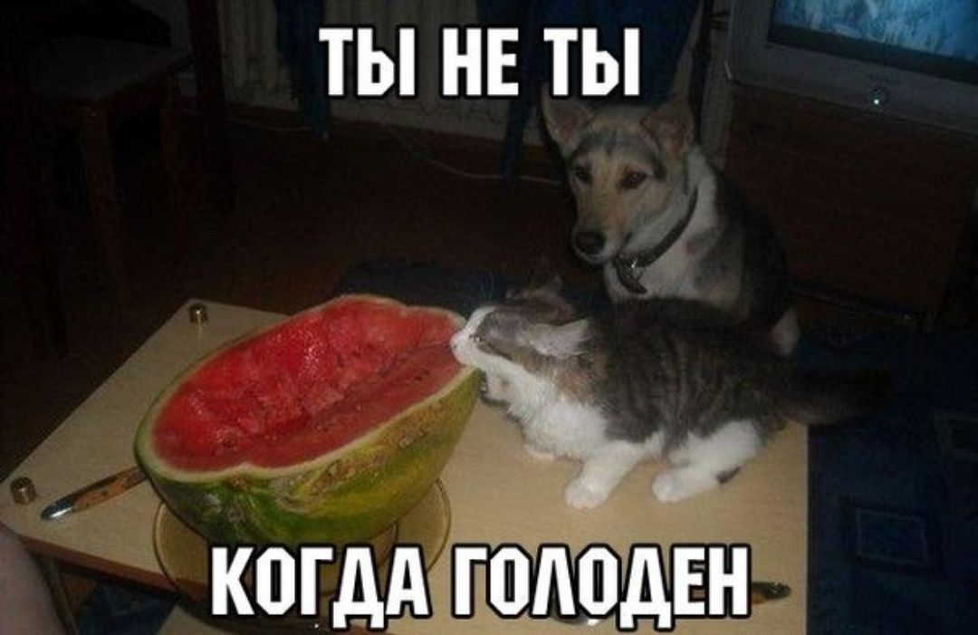ТЫ НЕ ТЫ