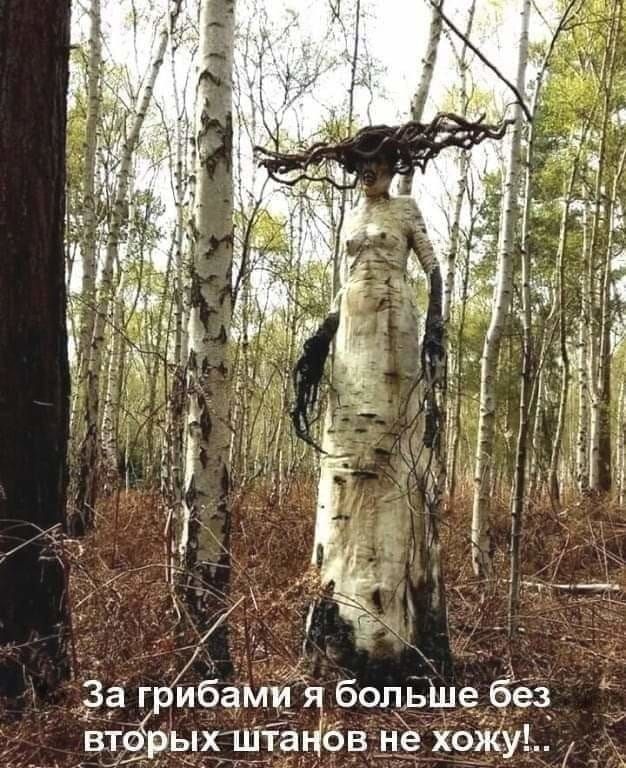 без вау больще хштаНбВ и г Ёам ры _ ВТО