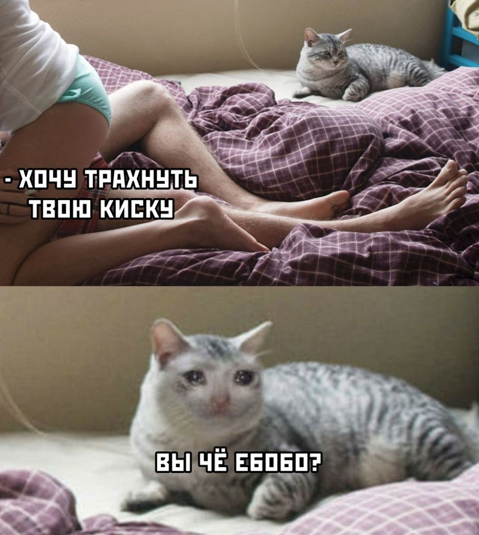 від чЁ ЕЕпЁд