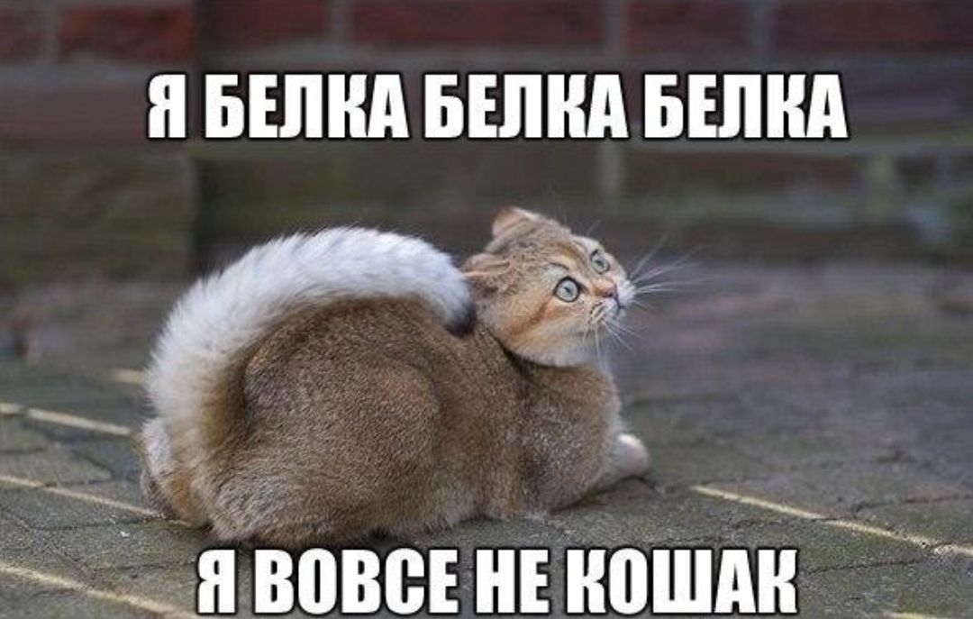 ч _ __Щ вовевнвношдн _