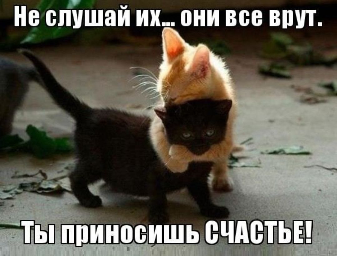 Не спішай их они все вшп