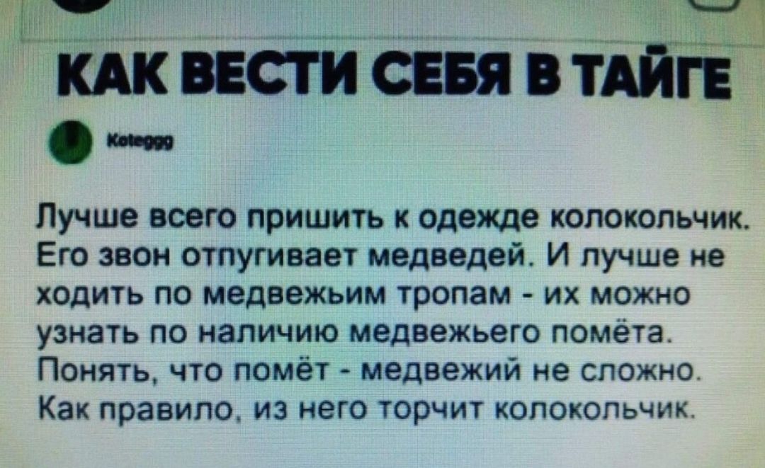 кдк вести сеня птн Лучше всего пришить к одежде колокольчик Его звон отпугивает медведей И лучше не ходить по медвежьим тропам их можно узнать по наличию медвежьего помёта Понять что помёт медвежий не сложно Как правило из него торчит колокольчик