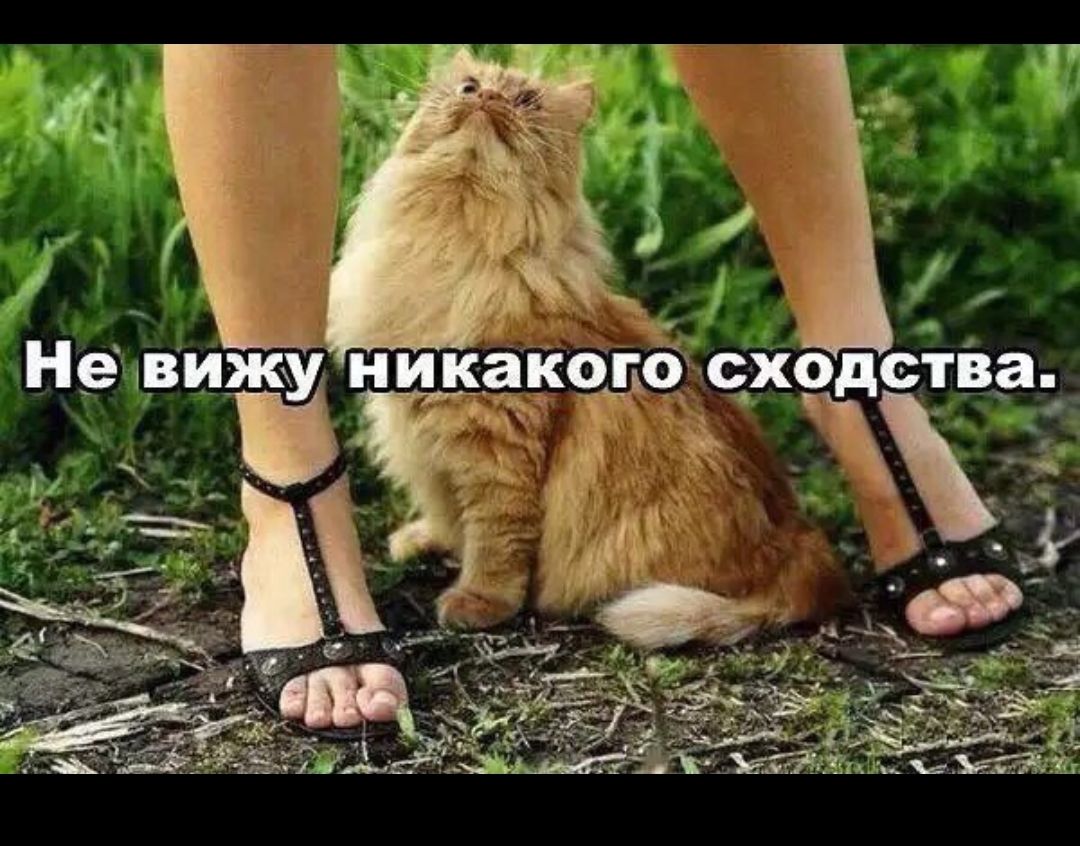 невижу т 1 Ъзш _ уйти