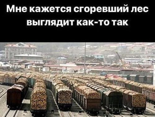 Мне кажется сгоревший лес выглядит как то так