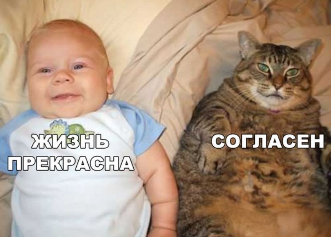 СОГЛАСЕН и