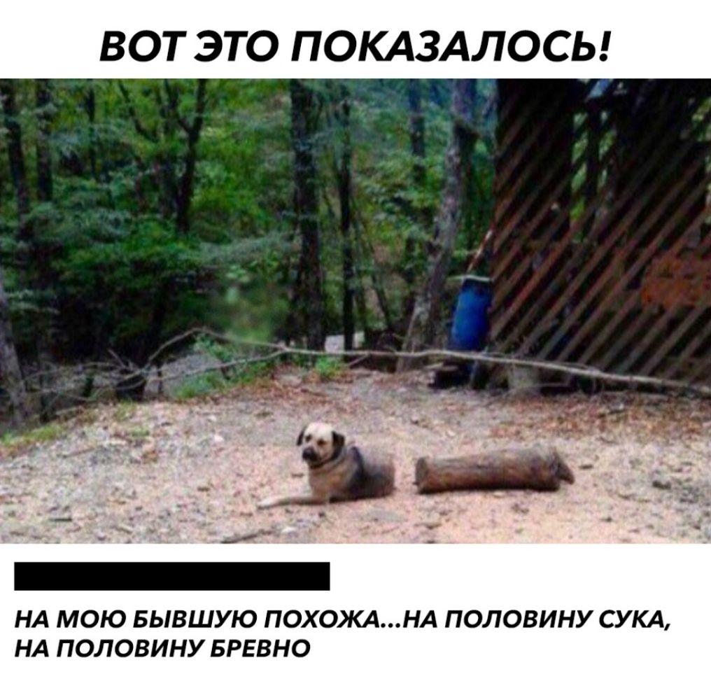 ВОТ ЭТО ПОКАЗАЛОСЬ эх НА МОЮ БЫВШУЮ ПОХОКАНА ПОЛОВИНУ СУКА НА ПОЛОВИНУ БРЕВНО