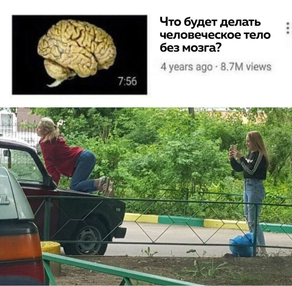 Что будет делать человеческое тело без мозга 4 шжпя э 1 киш пя