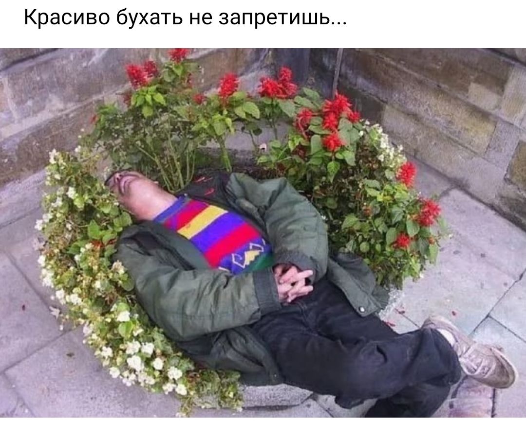 Красиво бухать не запретишь