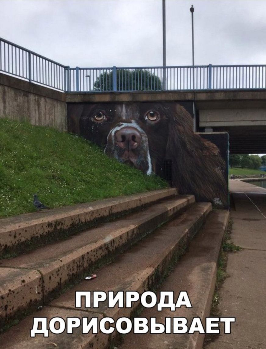 ъ Ниини чшиииишиишшииш г природА дОРИСОВЫВАЕТ