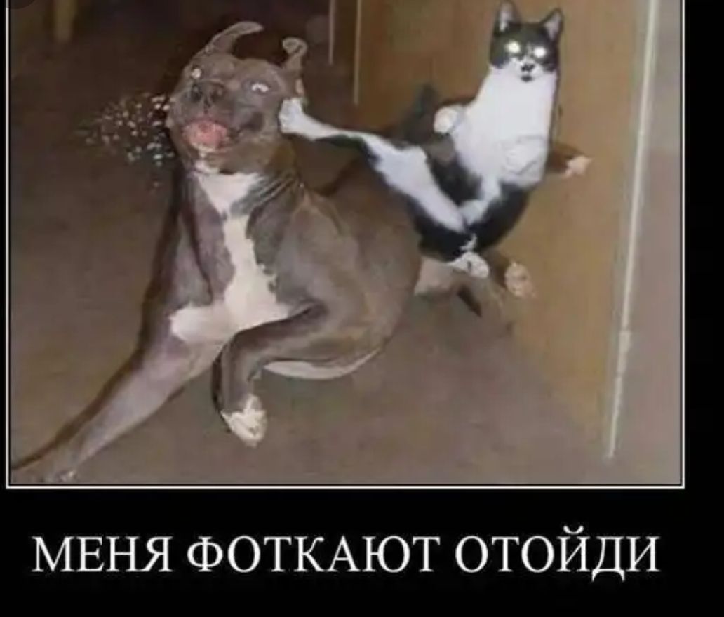 МЕНЯ ФОТКАЮТ отойди