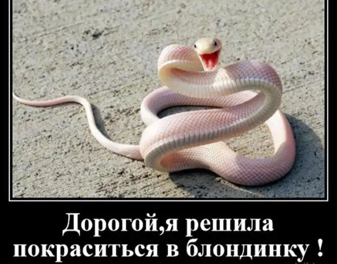 Дорогойя решила покраситься в блондинку
