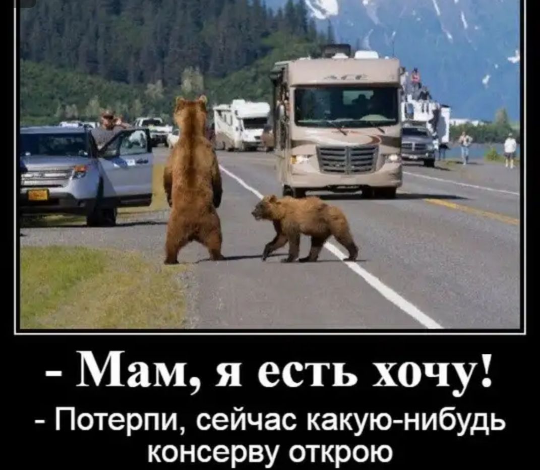 ам я есть хочу Потерпи сейчас какую нибудь консерву открою