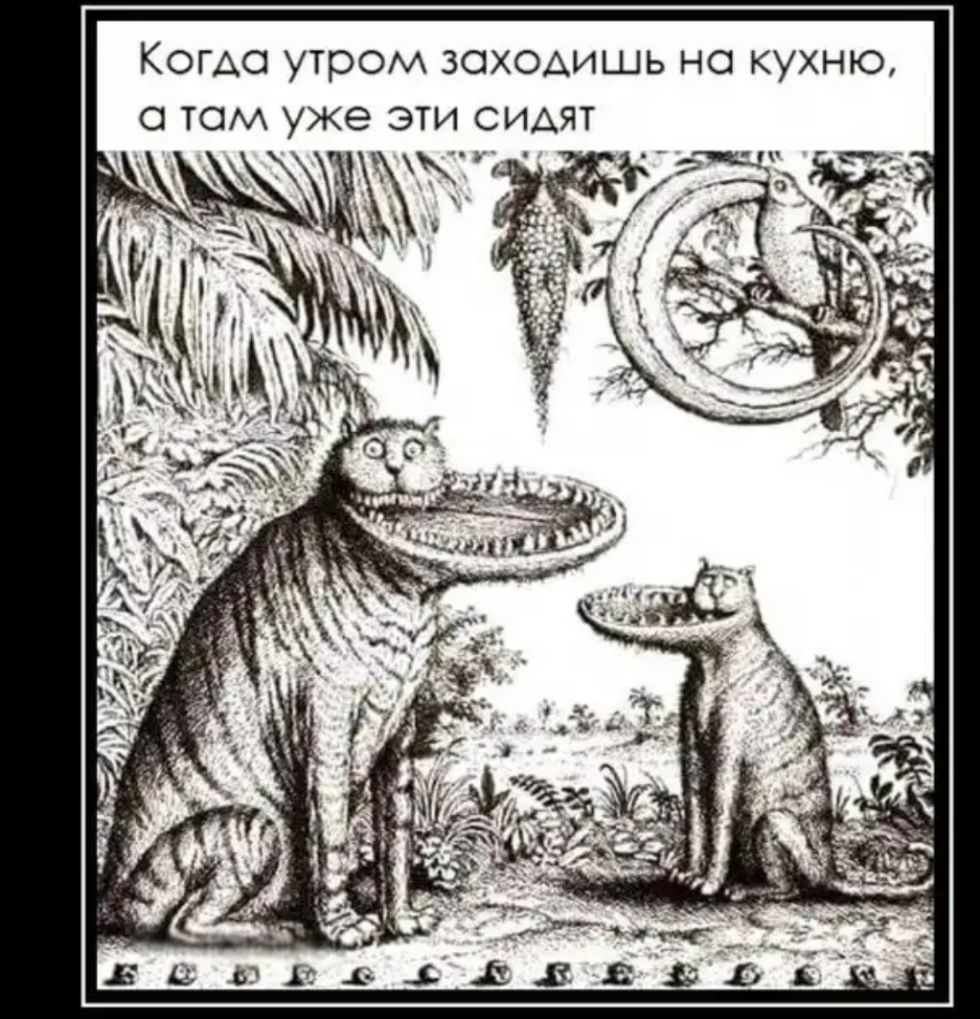 КОГАО утром ЗОХОАИШЬ НО КУХНЮ О ТОМ уже ЭТИ СИАЯТ