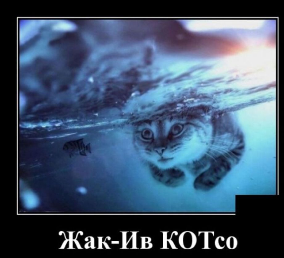 Жак Ив КОТсо