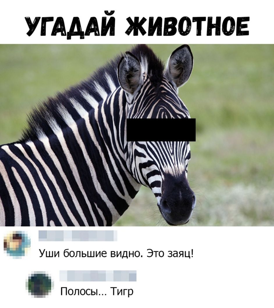 УГАААЙ животное 51 ЁЁ і