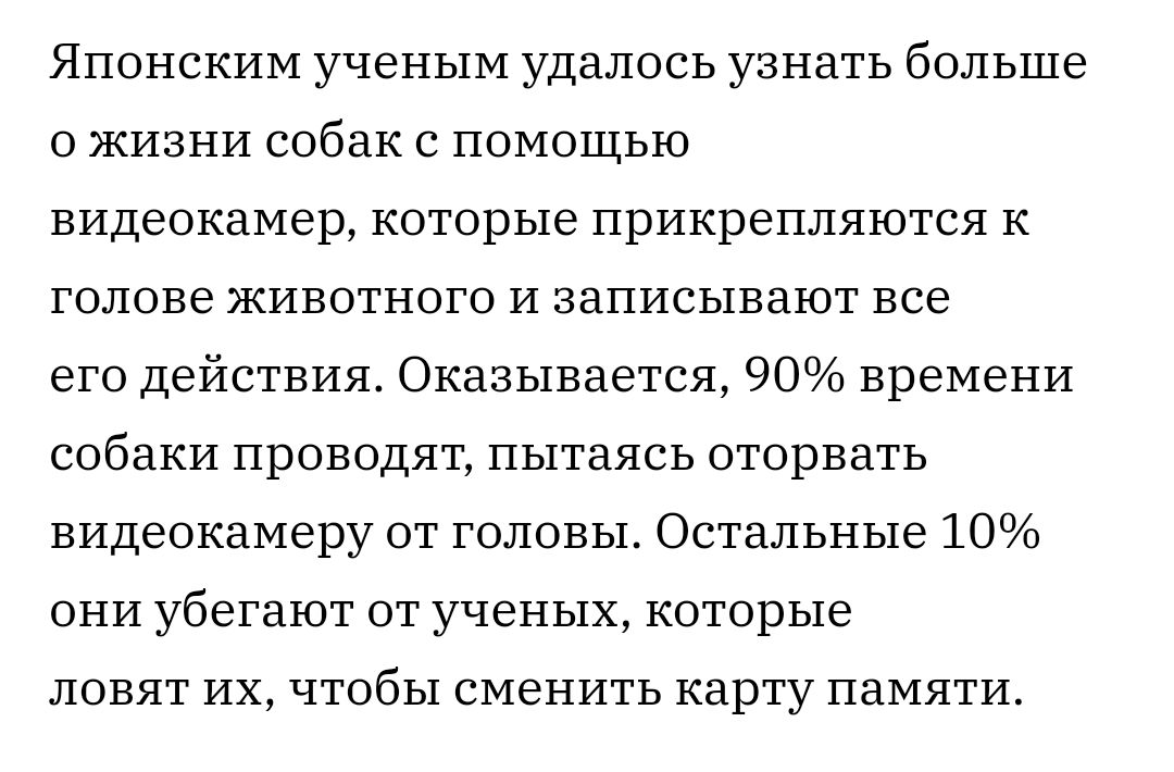 Японским ученым удалось узнать больше о жизни собак с помощью видеокамер которые прикрепляются к голове животного и записывают все его действия Оказывается 90 времени собаки проводят пытаясь оторвать видеокамеру от головы Остальные 10 они убегают от ученых которые ЛОВЯТ ИХ ЧТОбЬ1 СМЕНИТЬ КдРТУ ПЗМЯТИ