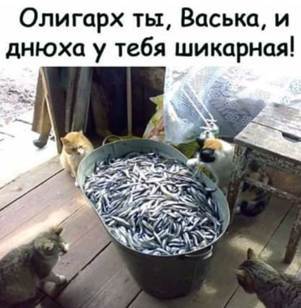 или ан 0 то СК ОИ Вш я а ХТ РУ ю Н д