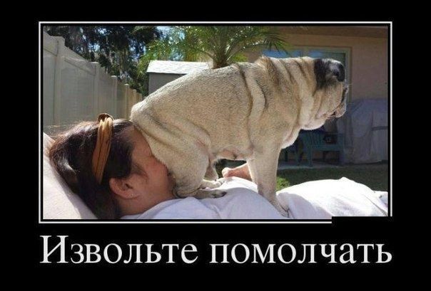 Извольте помолчать