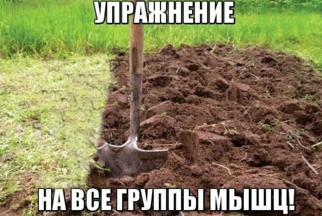 _А 1 и