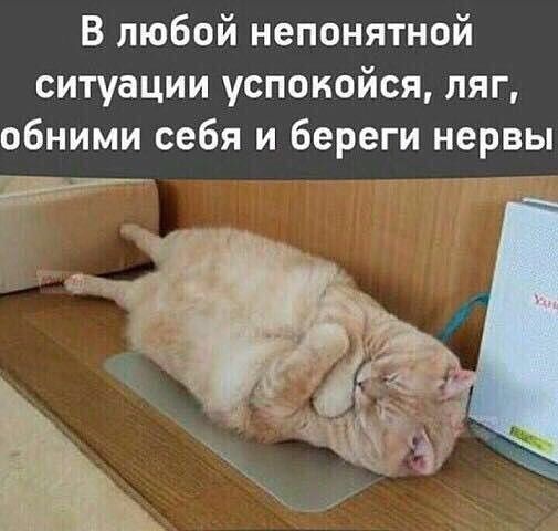 В любой непонятной ситуации успокойся ляг обними себя и береги нервы