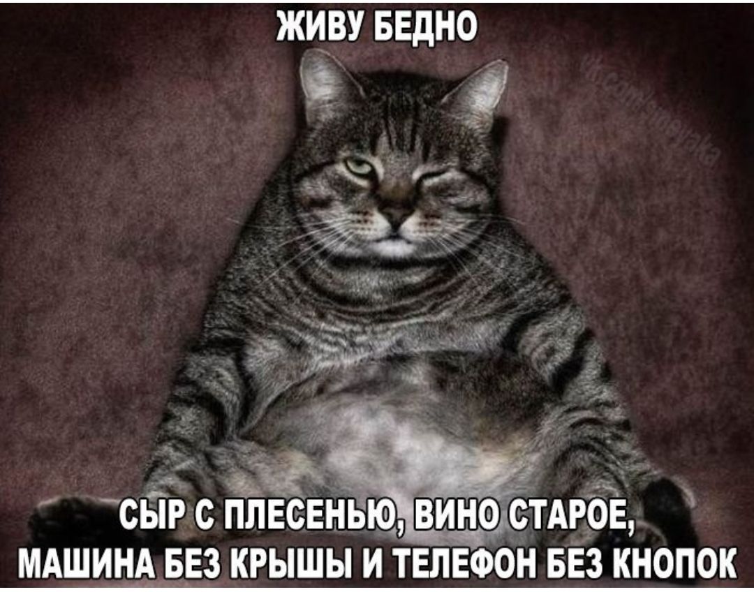 ЖЦВУ БЕдНО і Я сырс ппвсвньщщинастдгрв МАШИНА БЕЗ КРЫШЫ И ТЕЛЕФОН БЕЗ КНОПОК