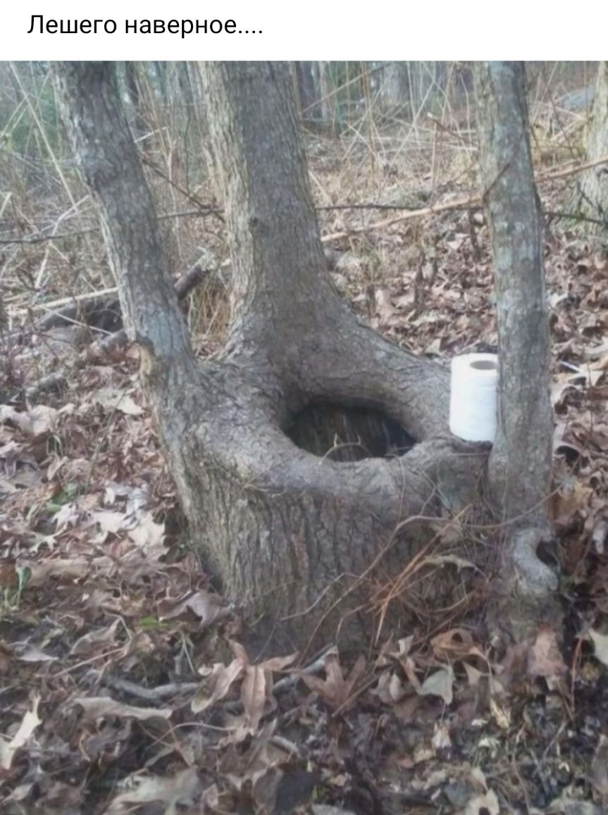 е о н о е в а Н о Г е ш е Л