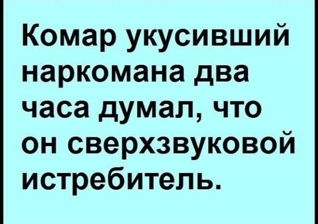 Комар укусивший наркомана два часа думал что он сверхзвуковой истребитель