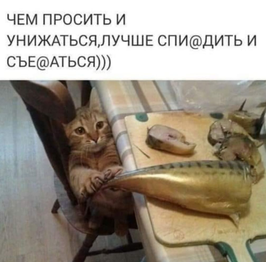 чем просить и УНИЖАТЬСЯЛУЧШЕ СПИДИТЬ и СЪЕАТЬСЯ