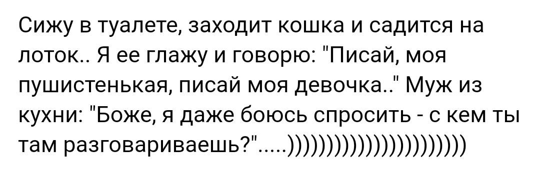 Сижу в туалете заходит кошка и садится на поток Я ее глажу и говорю Писай моя пушистенькая писай моя девочка Муж из кухни Боже я даже боюсь спросить с кем ты там разговариваешь