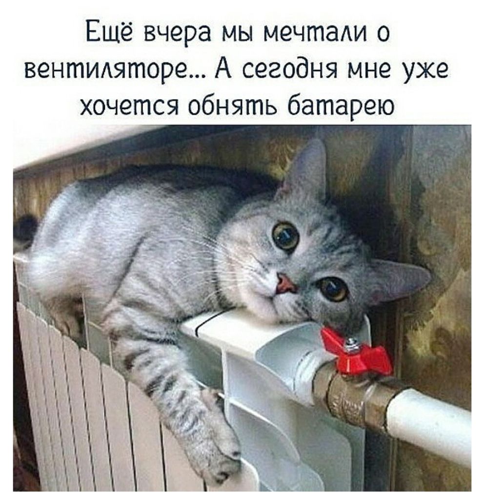Ешё вчера мы мечтади о вентиляторе А сегодня мне уже хочется обнять батарею