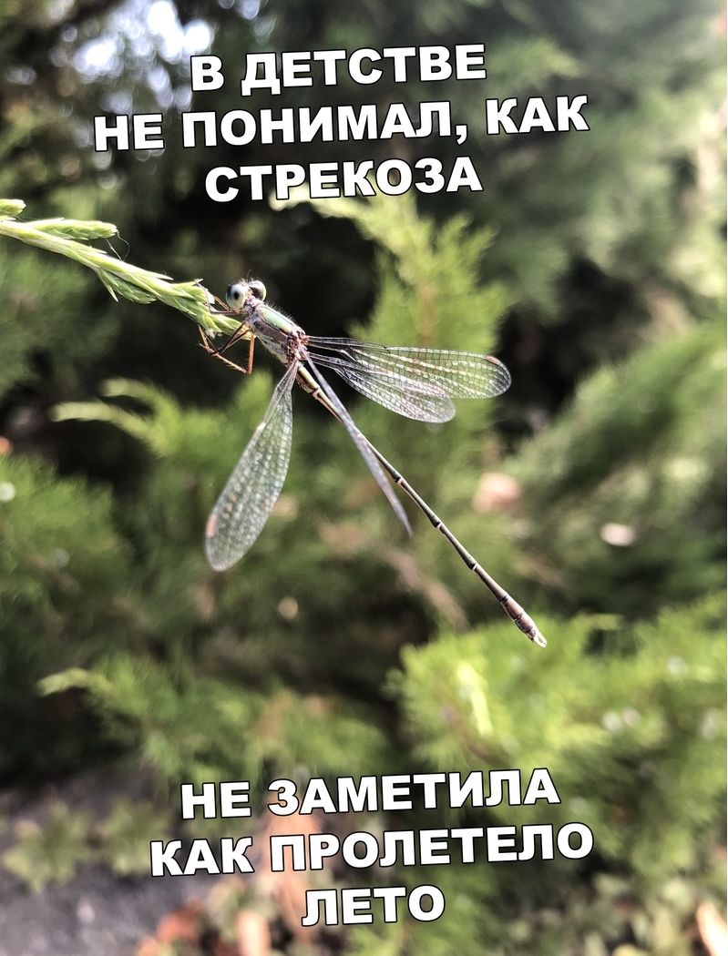 50 _ НЕ зАмвтилд КАКЁЦОЛЕТЕЛО п _ вто ФЧ д_