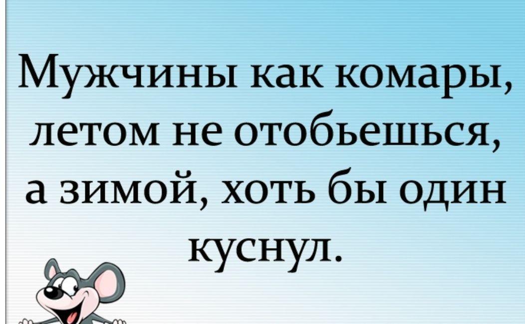Мужчины как комары летом не отобьешься зимой хоть бы один куснул