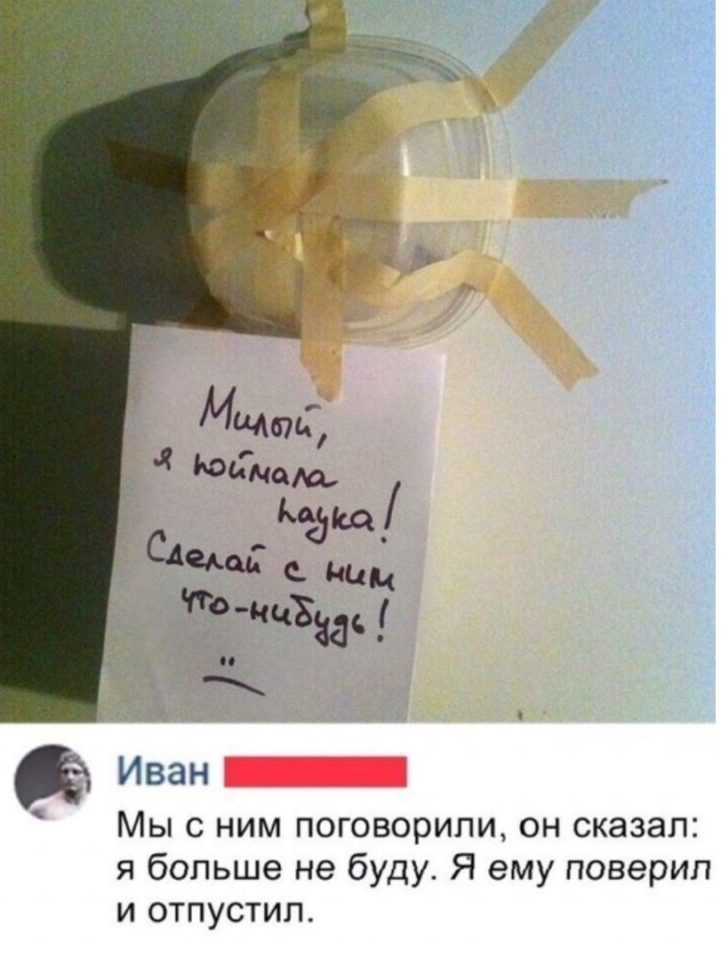 Мы с ним поговорили он сказал я больше не буду Я ему поверил и отпустил