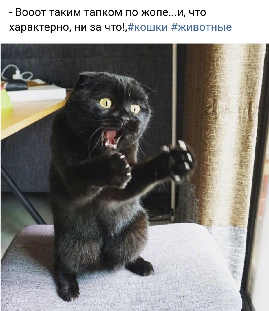 Вооот таким тапком по жопе и что характерно ни за что