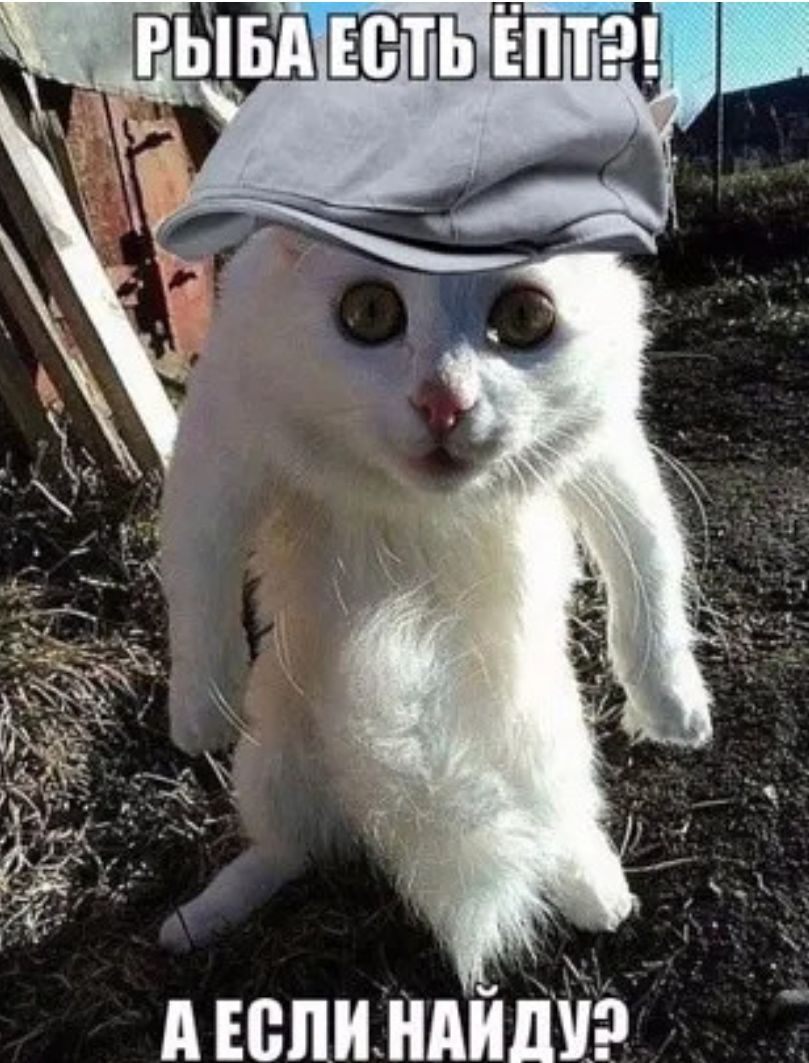 А юпиндйпйэ