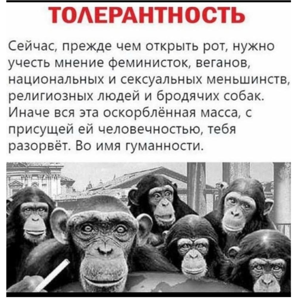 ____ Сейчас прежде чем открыть рот нужно учесть мнение феминисток веганов национальных и сексуальных меньшинств религиозных людей и бродячих собак Иначе вся эта оскорблённая масса с присущей ей человечностью тебя разорвёт Во имя гуманности