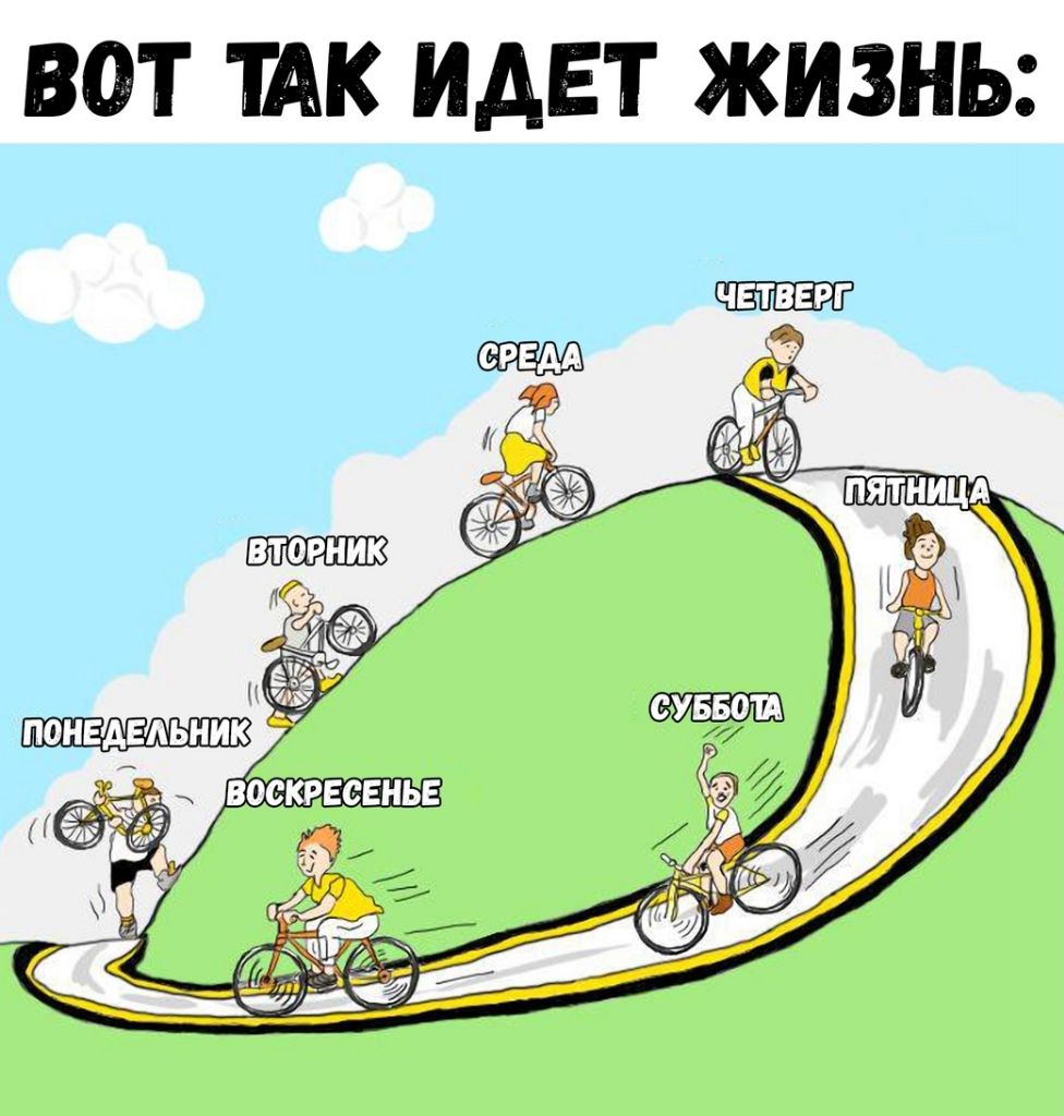 ВОТ ТАК ИДЕТ ЖИЗНЬ