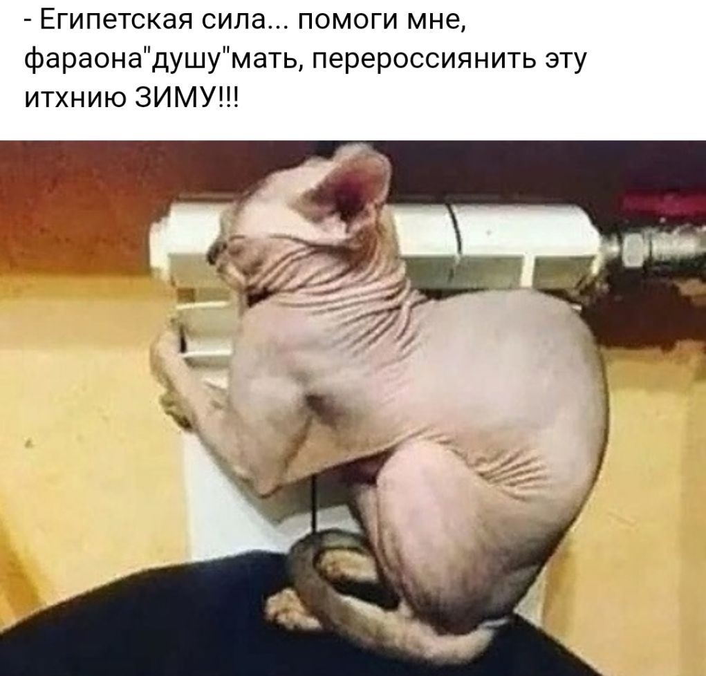 Египетская сила помоги мне фараонадушумать перероссиянить эту итхнию ЗИМУ