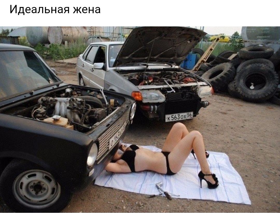 Идеальная жена