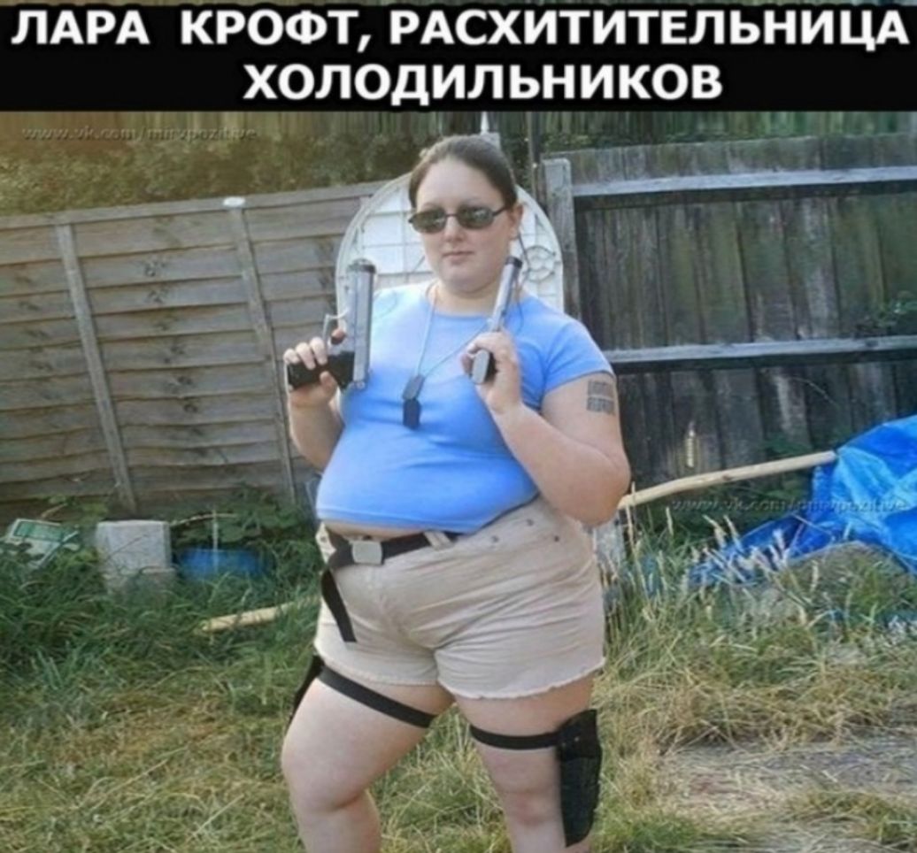 ЛАРА КРОФТ РАсхититвльниЦА холодильников