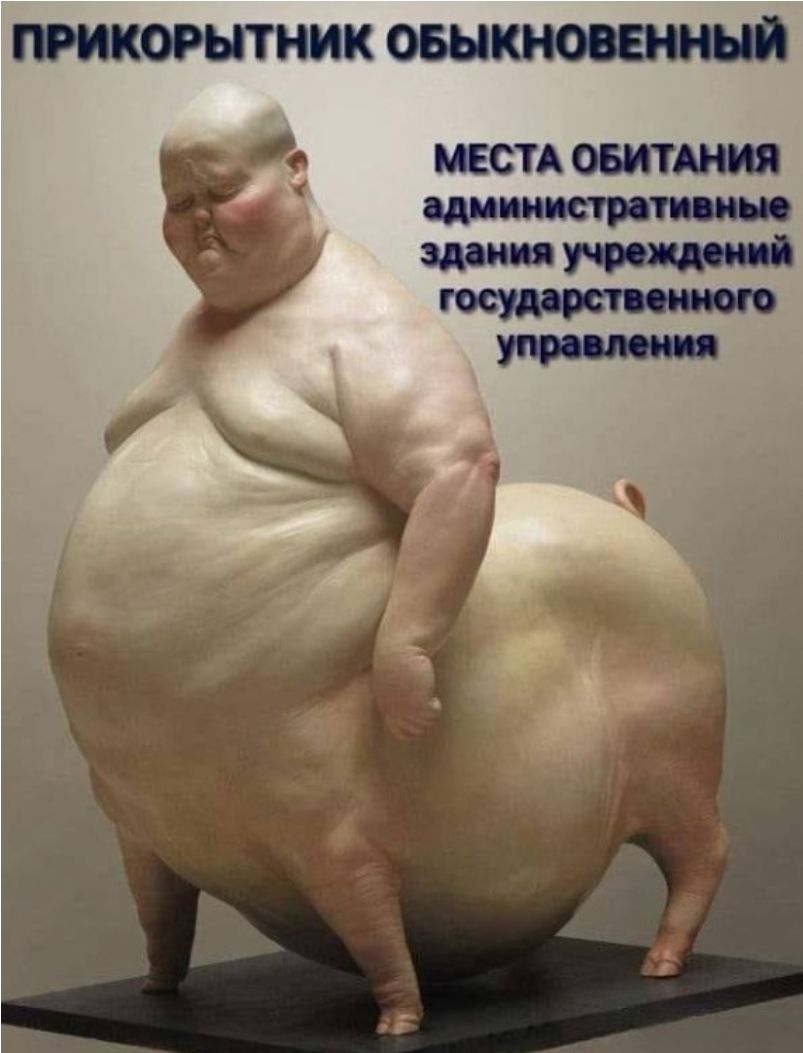 прикорытник овыкноввнный МЕСТА ОБИТАНИЯ административные Здания учреждений государственного