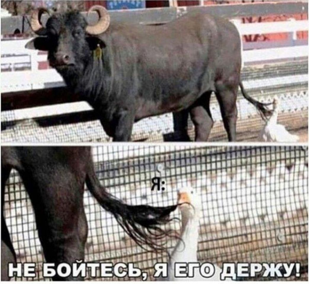 ли НЕЁ Бой т