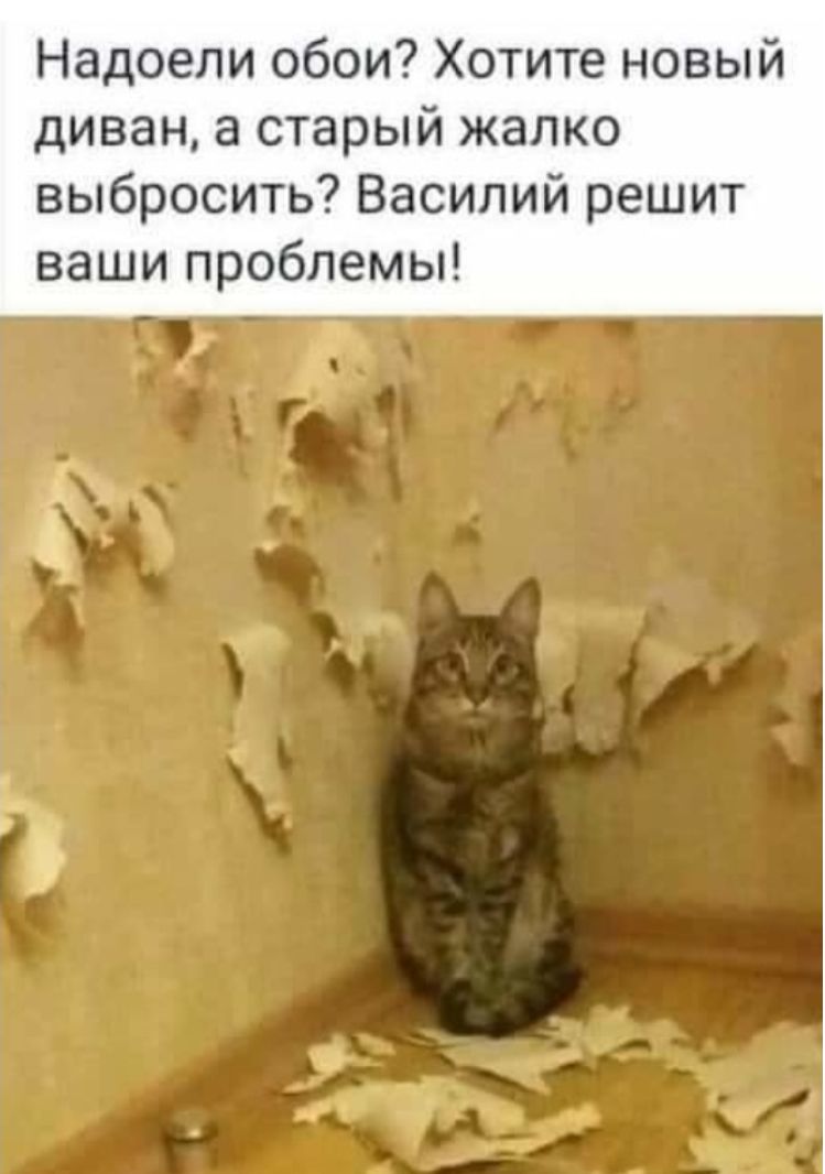 Надоели обои Хотите новый диван а старый жалко выбросить Василий решит ваши проблемы