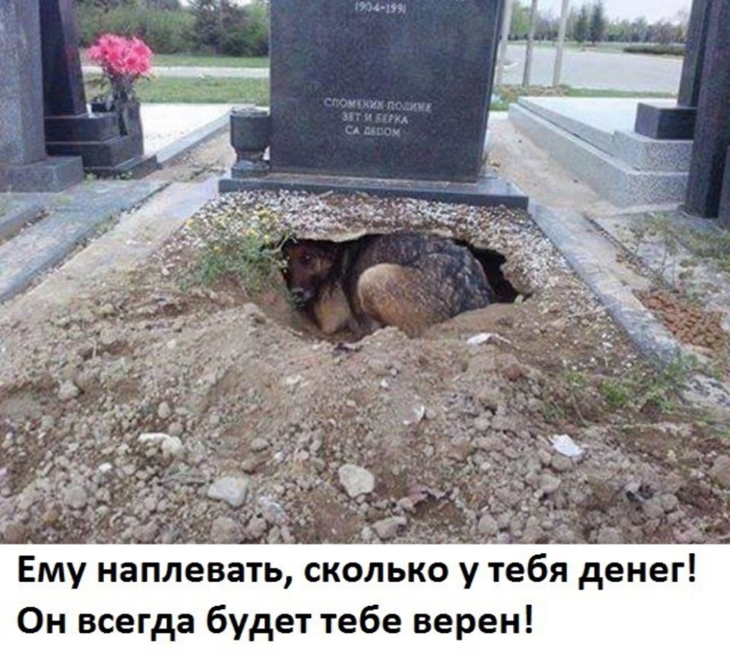 Ему наплевать сколько у тебя денег Он всегда будет тебе верен